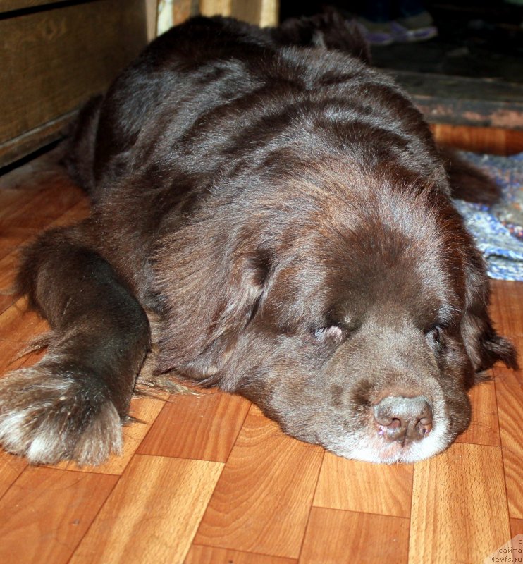 Фотография № 230415