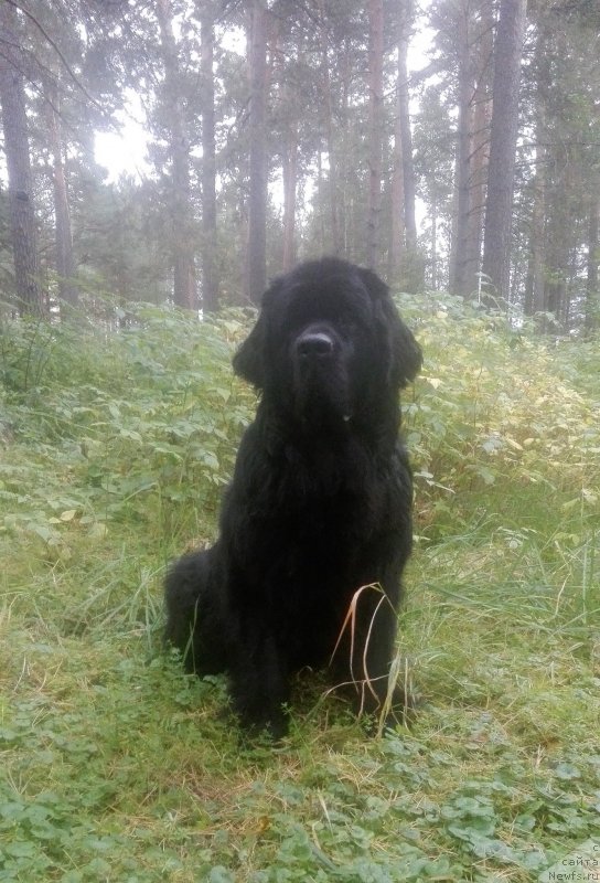 Фотография № 230416