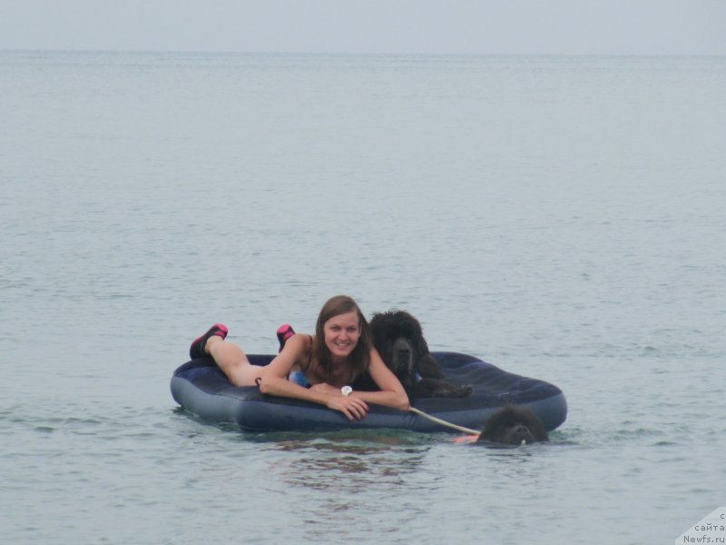 Фотография № 230436