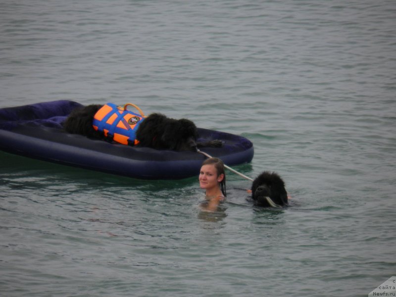 Фотография № 230442