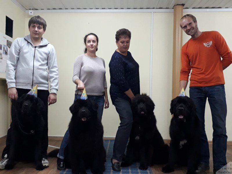 Фотография № 230446