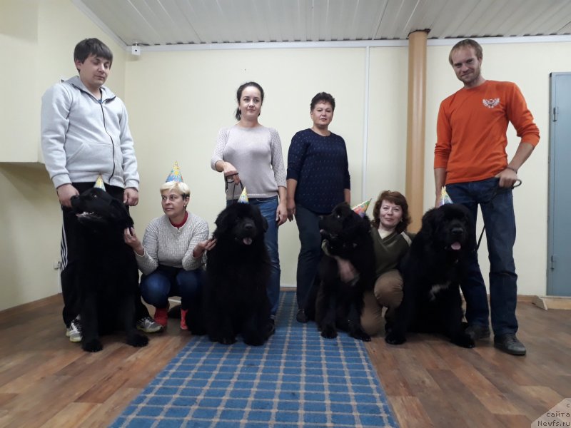 Фотография № 230447