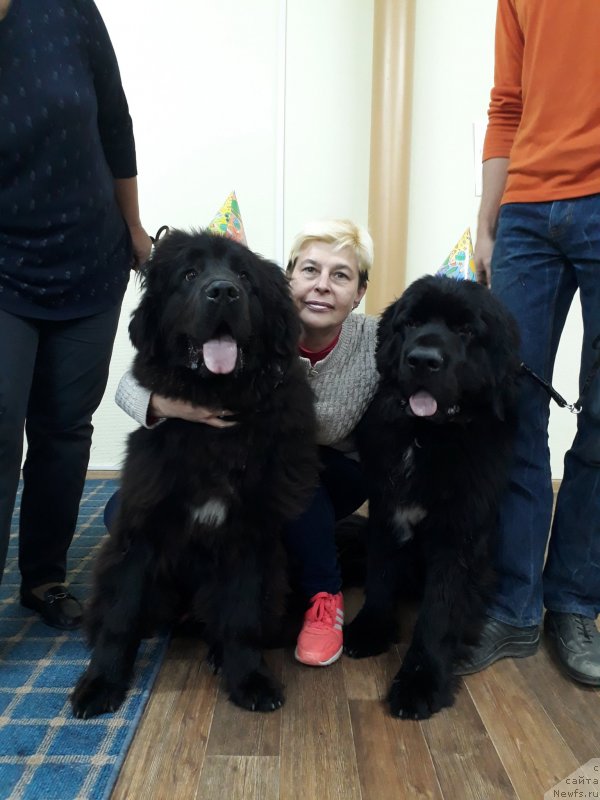 Фотография № 230448