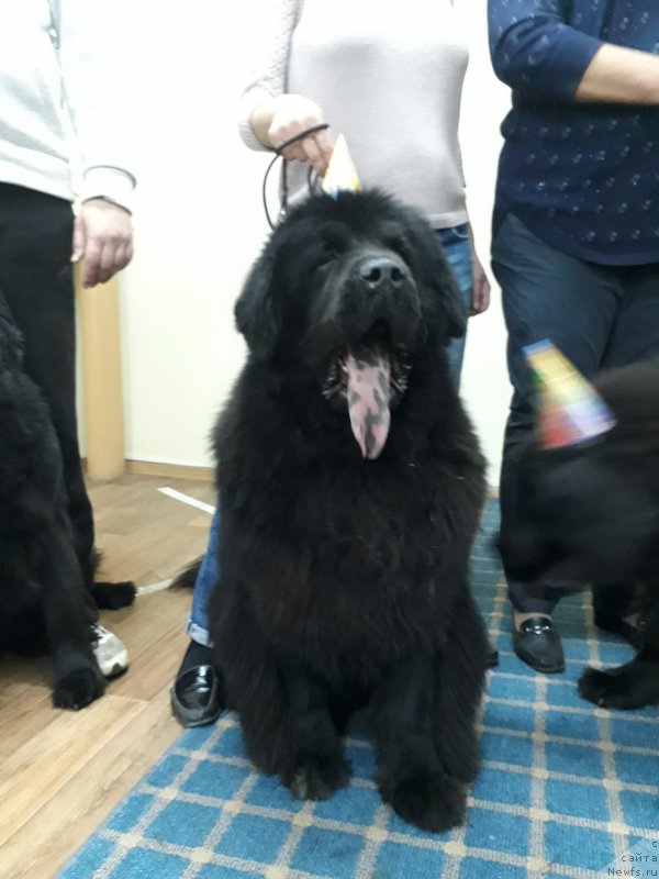 Фотография № 230449