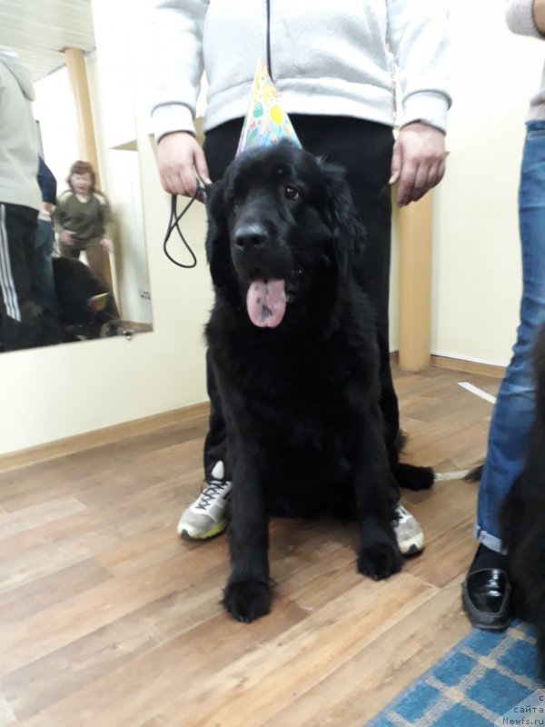 Фотография № 230450