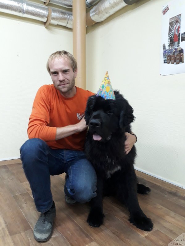 Фотография № 230451