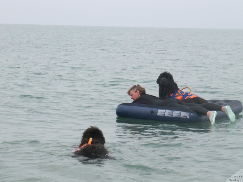 Фотография № 230455