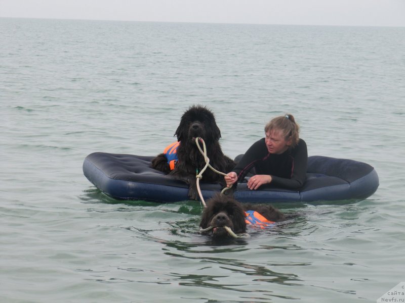 Фотография № 230456