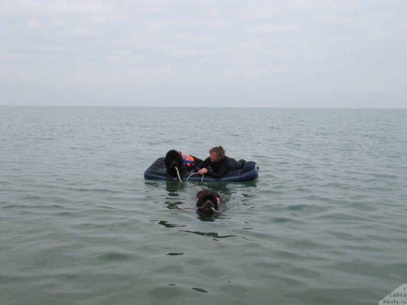 Фотография № 230457