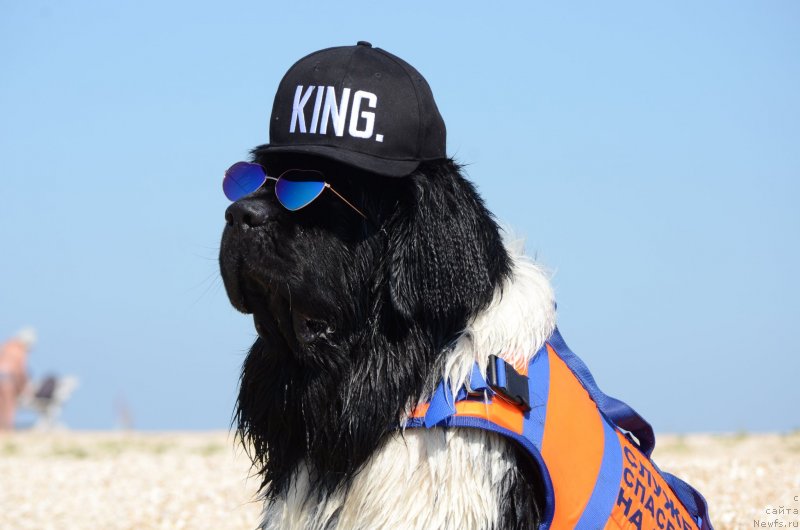 Фотография № 230460