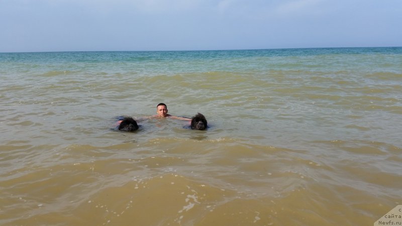 Фотография № 230496