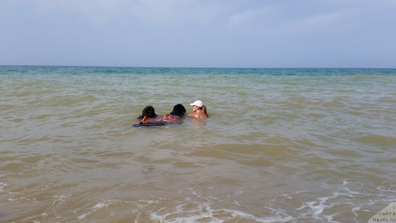 Фотография № 230498