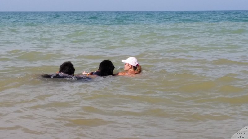 Фотография № 230499