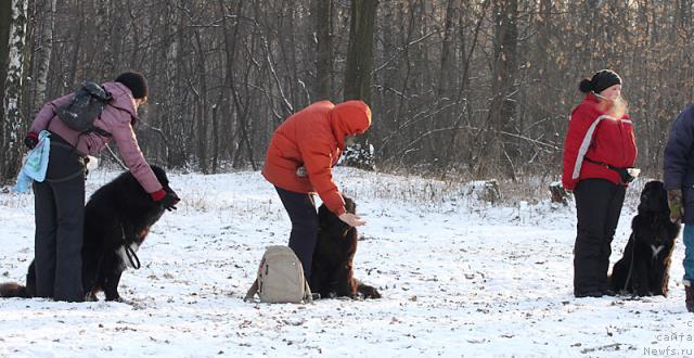 Фотография № 23050