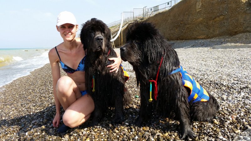 Фотография № 230502