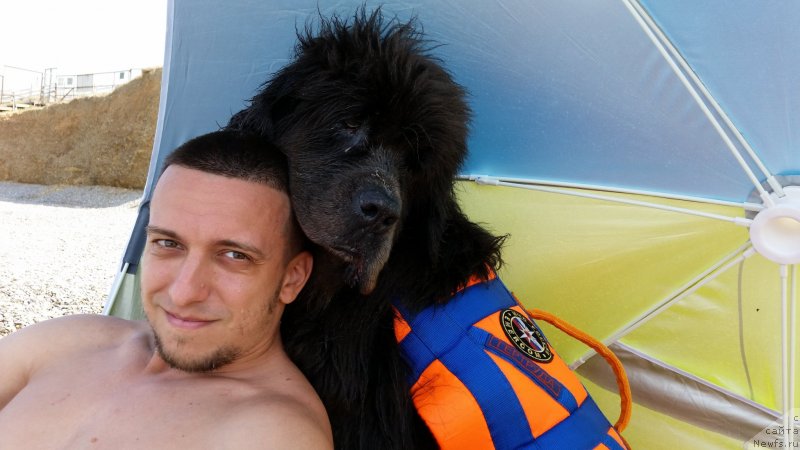 Фотография № 230504