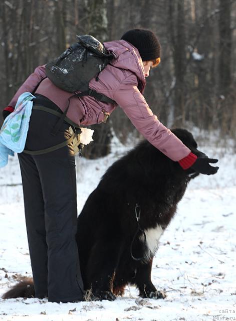 Фотография № 23051