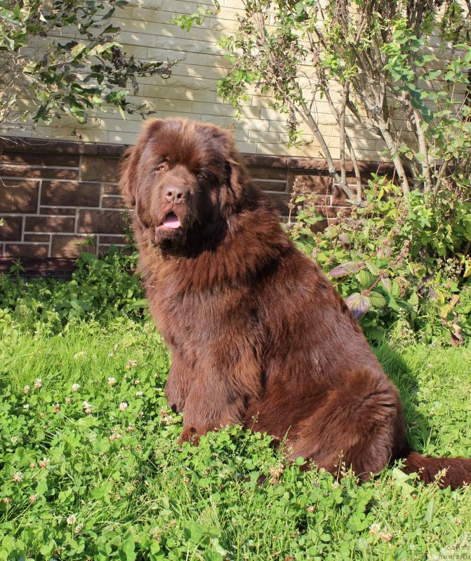 Фотография № 230512