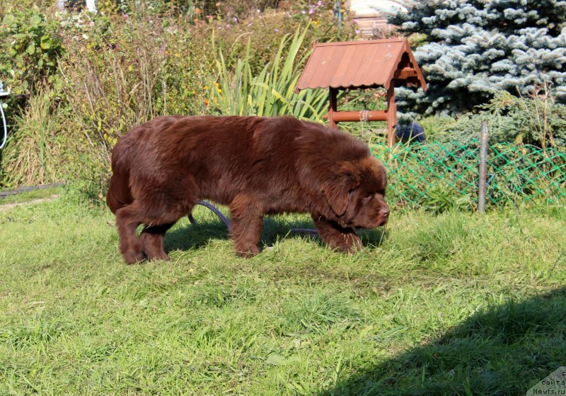 Фотография № 230513