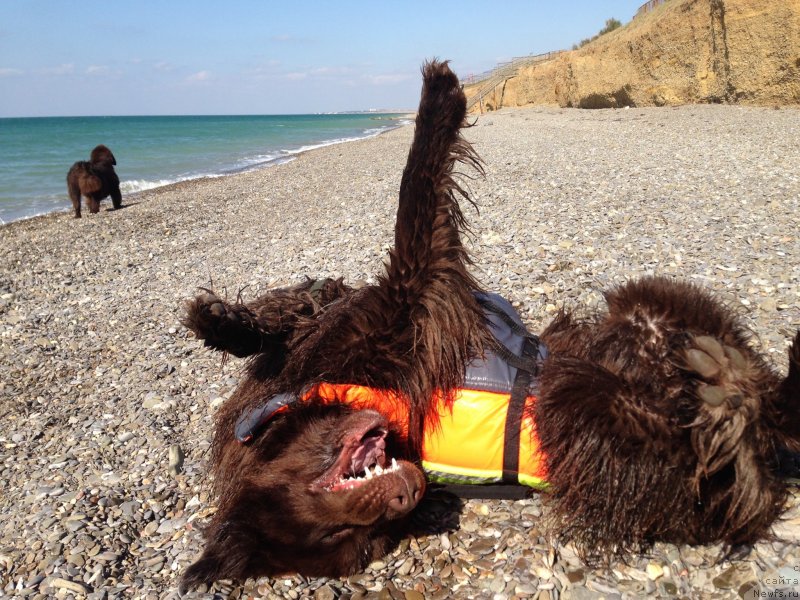 Фотография № 230523