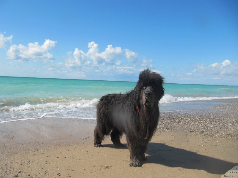 Фотография № 230525