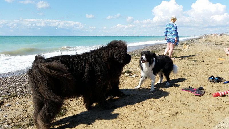 Фотография № 230528