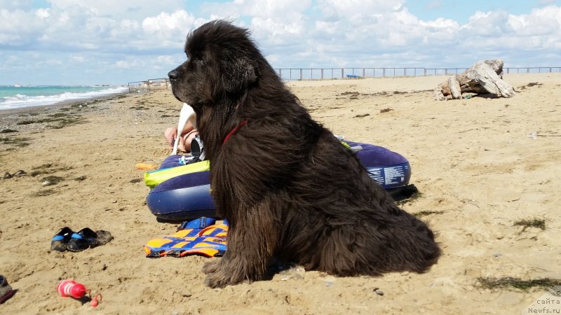 Фотография № 230530