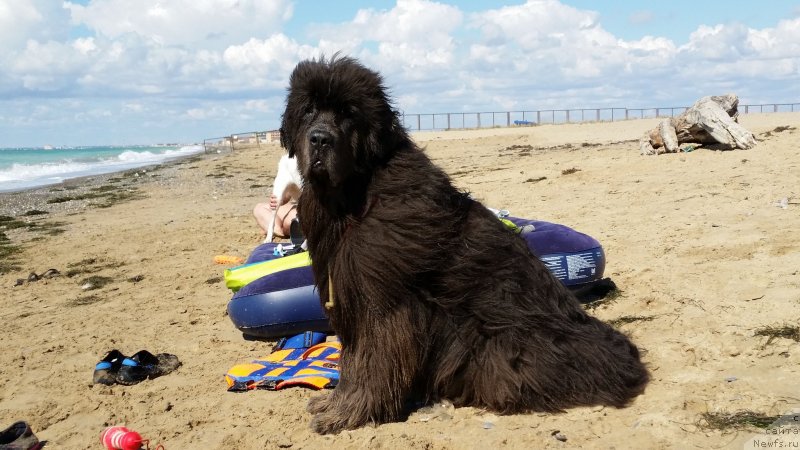 Фотография № 230531