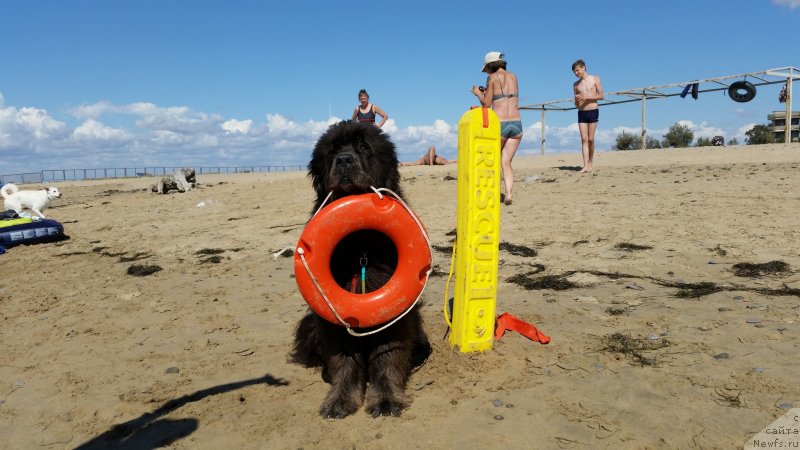 Фотография № 230534