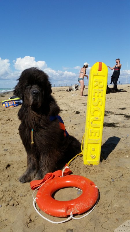 Фотография № 230535