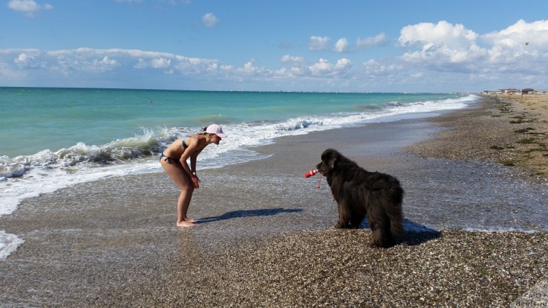 Фотография № 230540