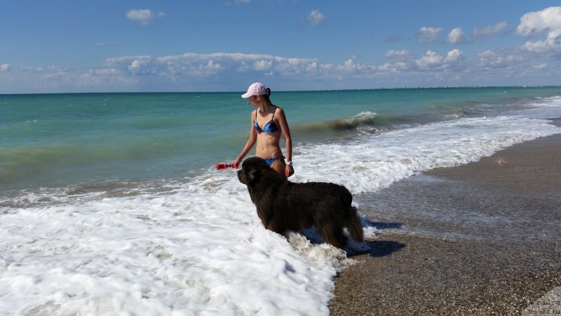 Фотография № 230541