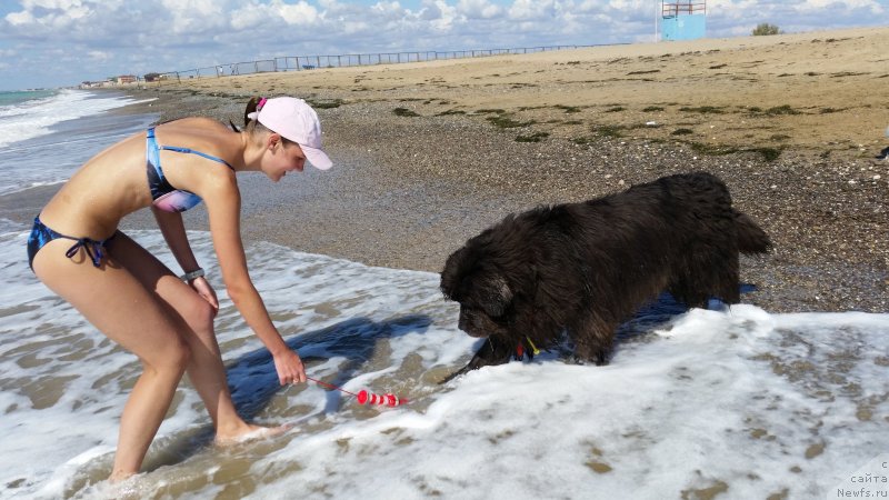 Фотография № 230544