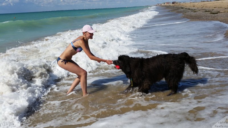 Фотография № 230545