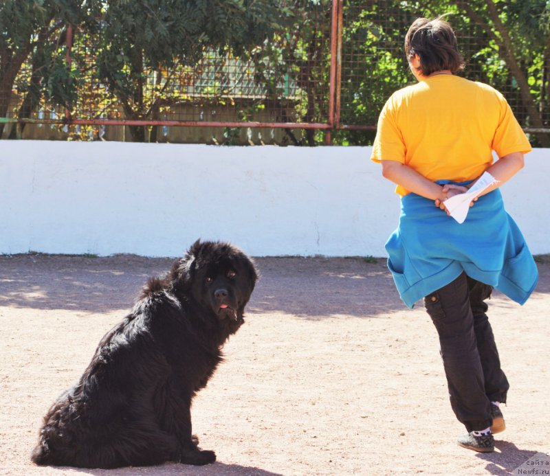 Фотография № 230571