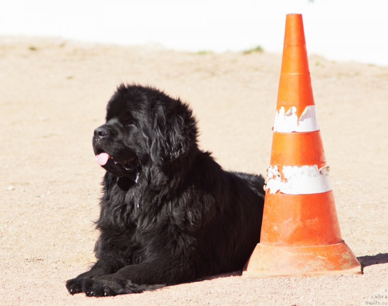 Фотография № 230574