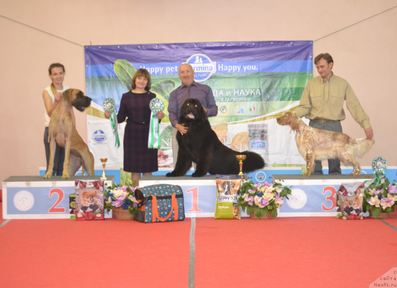 Фотография № 230582