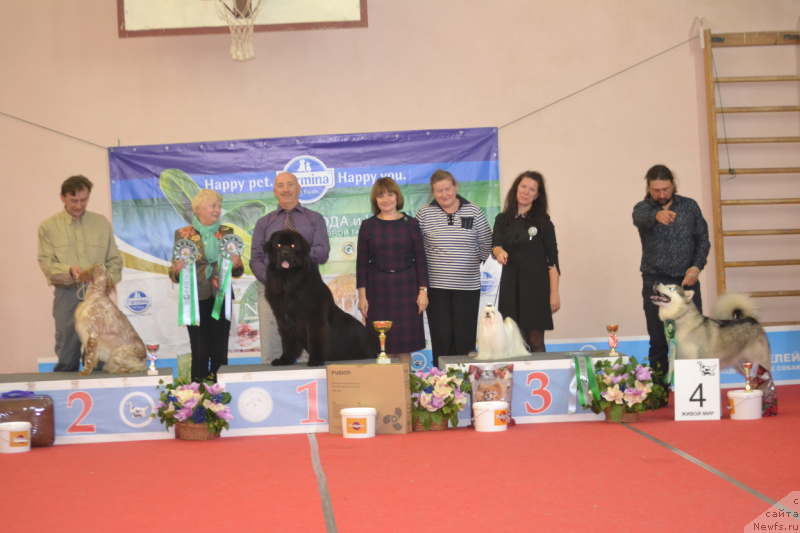 Фотография № 230584