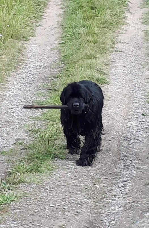 Фотография № 230601