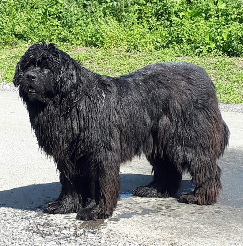 Фотография № 230605