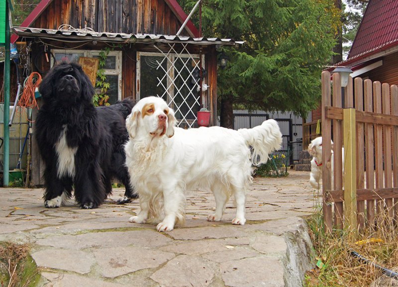 Фотография № 230610