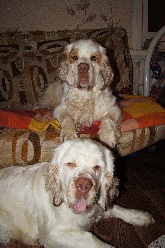 Фотография № 230611