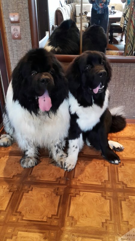 Фотография № 230612