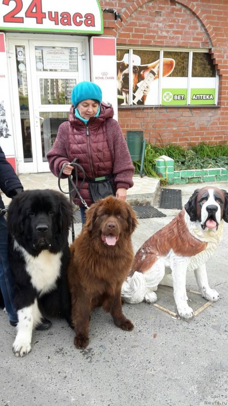 Фотография № 230613