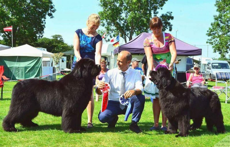 Фотография № 230614