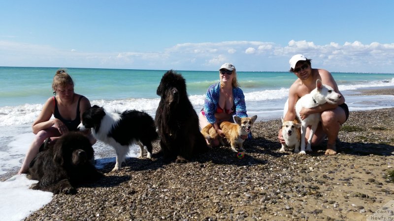 Фотография № 230617