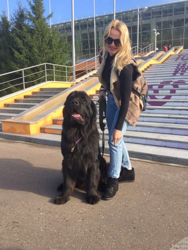 Фотография № 230644