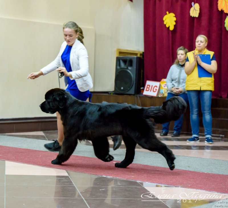 Фотография № 230646