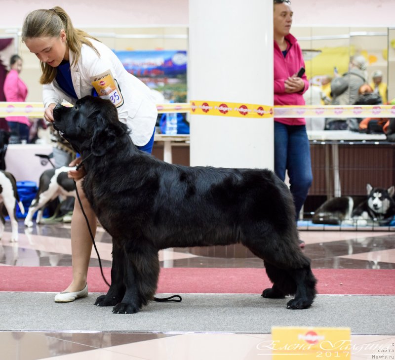 Фотография № 230648