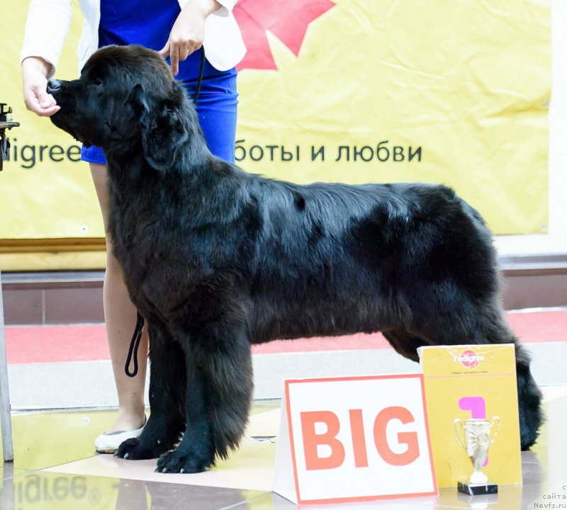 Фотография № 230649